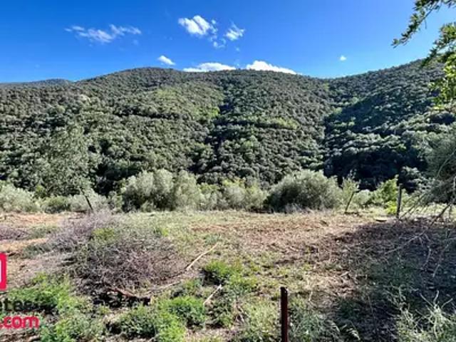 Terrain vente à Céret, Caixas