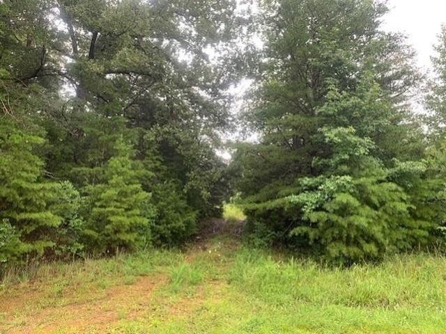 Land for sale in Saint Charles, Kentucky