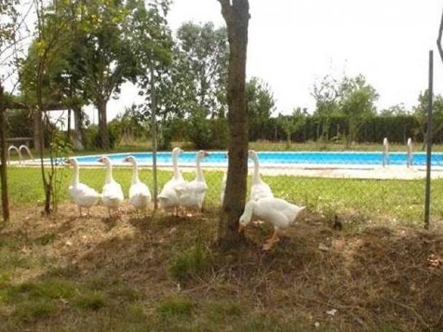 Casa en alquiler en Gironès, Catalunya
