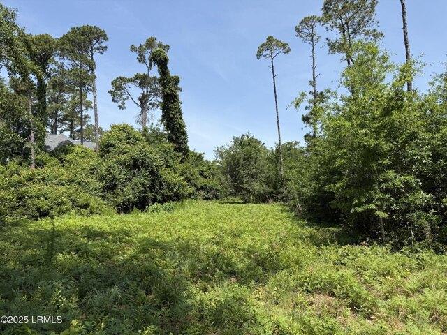Land for sale in Hilton Head Island Land for sale in Hilton Head Island