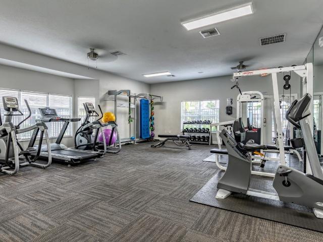 Apartment for rent in Saint Petersburg, Florida
