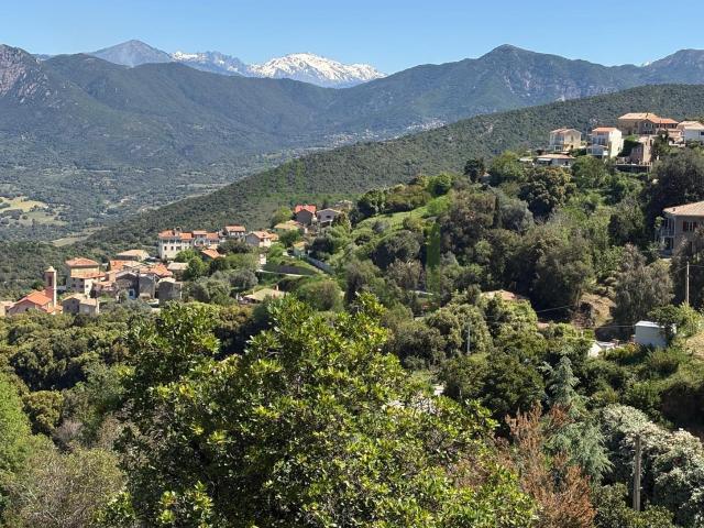Maison vente à Ajaccio, Calcatoggio