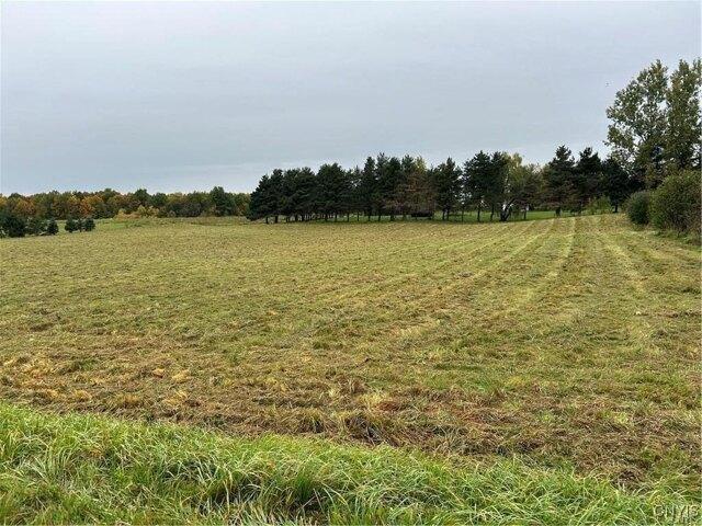 Land for sale in Calcium, New York
