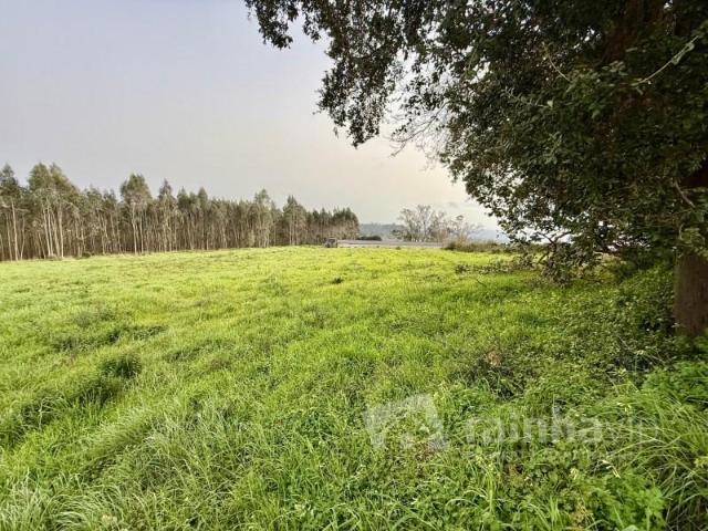 Terreno venda em Lagoa Parceira, Caldas Da Rainha