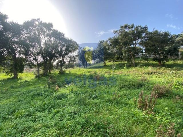 Terreno venda em Caldas Da Rainha, Leiria