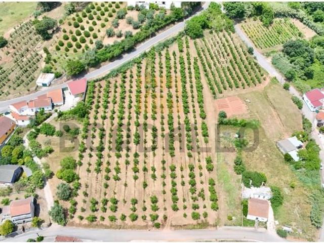 Terreno venda em Caldas Da Rainha, Leiria