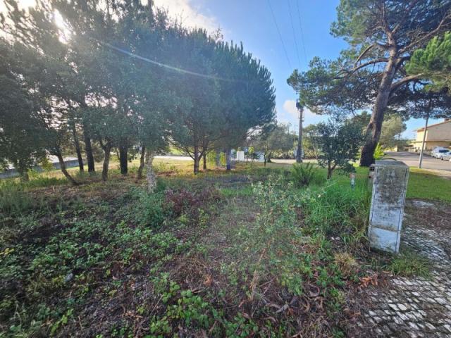 Terreno venda em Caldas Da Rainha, Leiria