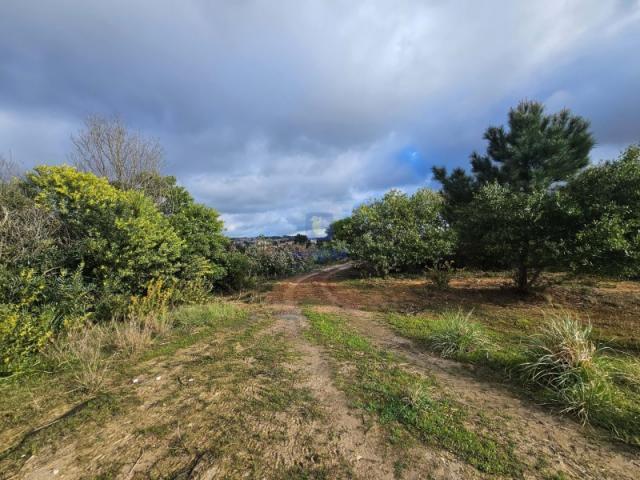 Terreno venda em Caldas Da Rainha, Leiria