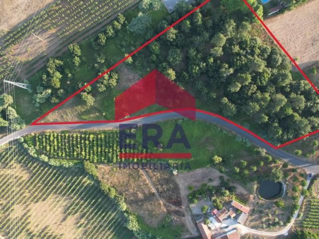 Terreno venda em Caldas Da Rainha, Leiria