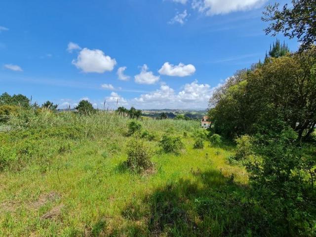 Terreno venda em Caldas Da Rainha, Leiria
