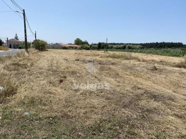 Terreno venda em Caldas Da Rainha, Leiria