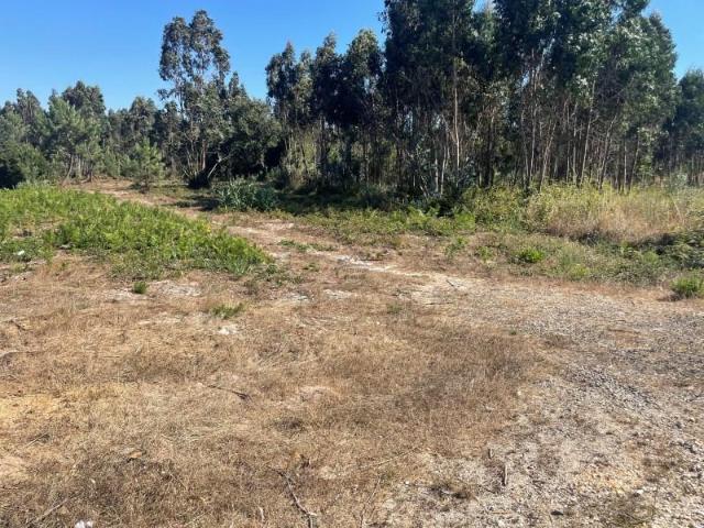 Terreno venda em Caldas Da Rainha, Leiria