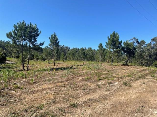 Terreno venda em Caldas Da Rainha, Leiria