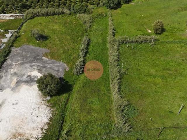 Terreno venda em Caldas Da Rainha, Leiria