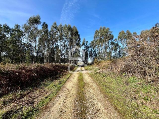 Terreno venda em Caldas Da Rainha, Leiria