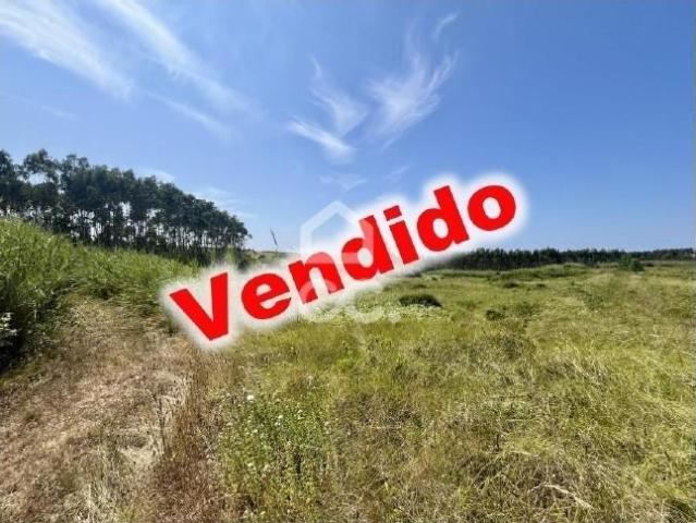 Terreno venda em Caldas Da Rainha, Leiria
