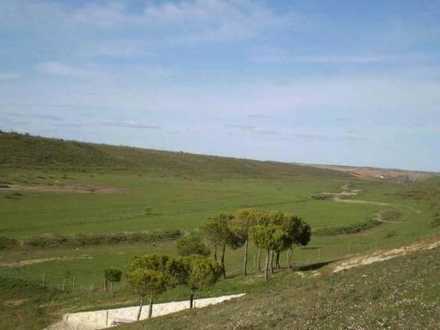 Casa en alquiler en Siete Iglesias De Trabancos, Castilla y León