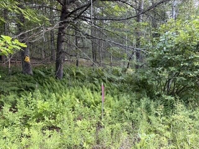 Land for sale in Washington, Maine