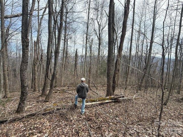 Land for sale in Hot Springs, North Carolina