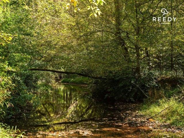Land for sale in Blacksburg, South Carolina