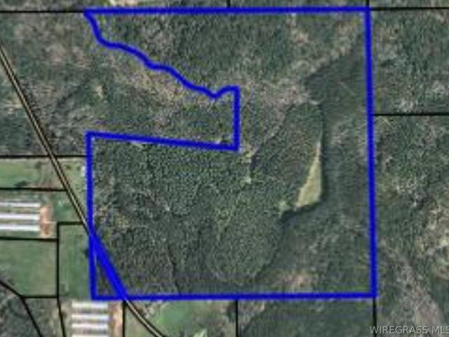 Land for sale in Geneva, Alabama