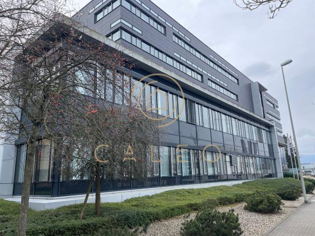 Wohnung mieten in Bad Homburg, Hessen