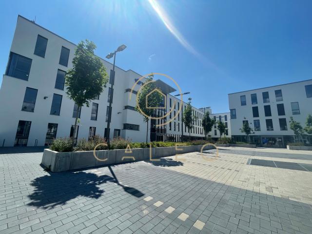 Wohnung mieten in Mainz, Rheinland-Pfalz