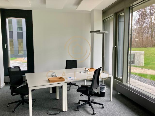 Wohnung mieten in Bad Homburg, Hessen