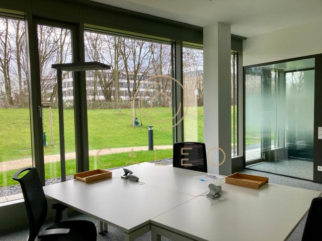 Wohnung mieten in Bad Homburg, Hessen
