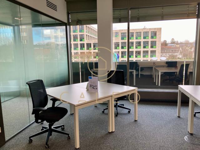 Haus mieten in Bad Homburg, Hessen