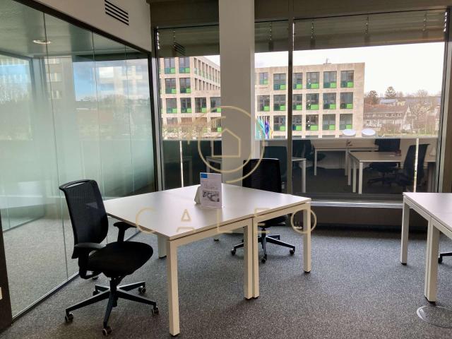 Haus mieten in Bad Homburg, Hessen