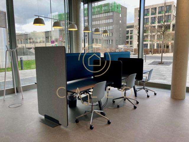 Haus mieten in Bad Homburg, Hessen