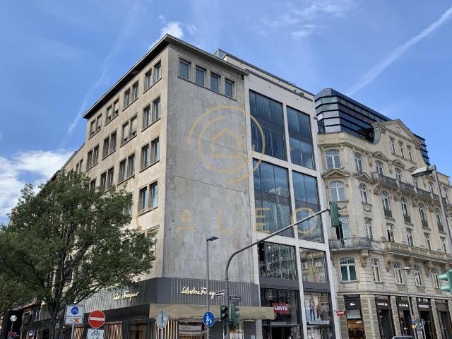 Wohnung mieten in Frankfurt am Main, Sachsenhausen