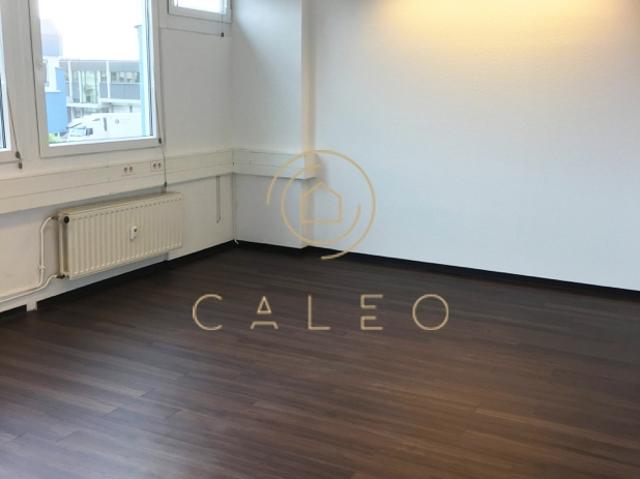 Wohnung mieten in Kelsterbach, Hessen