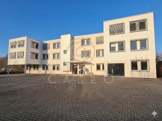 Wohnung mieten in Mainz, Rheinland-Pfalz