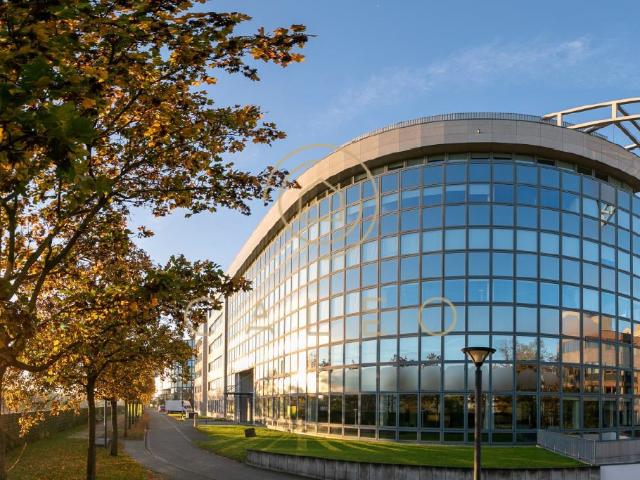 Haus mieten in Sachsenhausen, Hessen