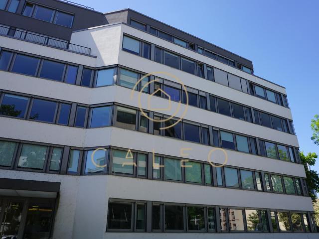 Haus mieten in Sachsenhausen, Hessen