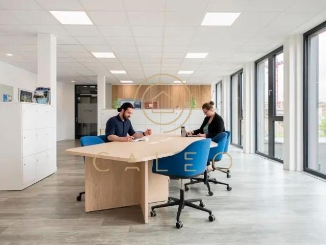 Wohnung mieten in Kiel, Schleswig-Holstein