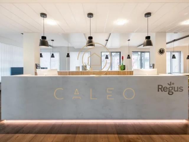 Wohnung mieten in Kiel, Schleswig-Holstein