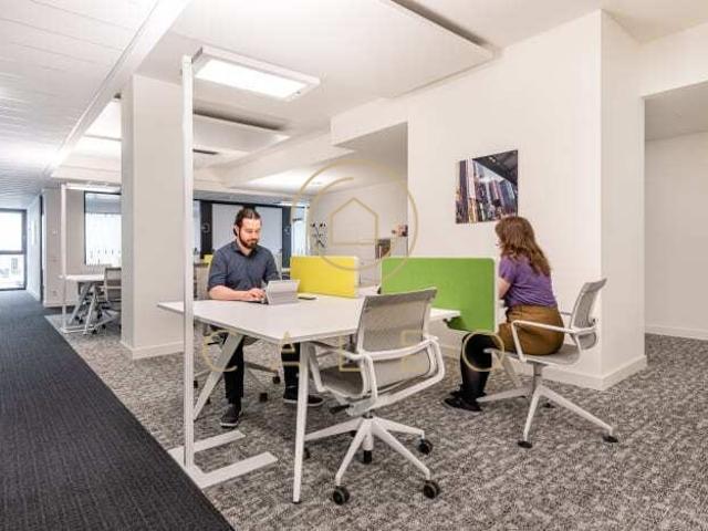 Wohnung mieten in Kiel, Schleswig-Holstein