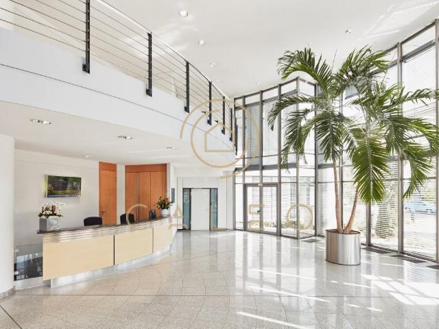 Wohnung mieten in Walldorf, Baden-Württemberg