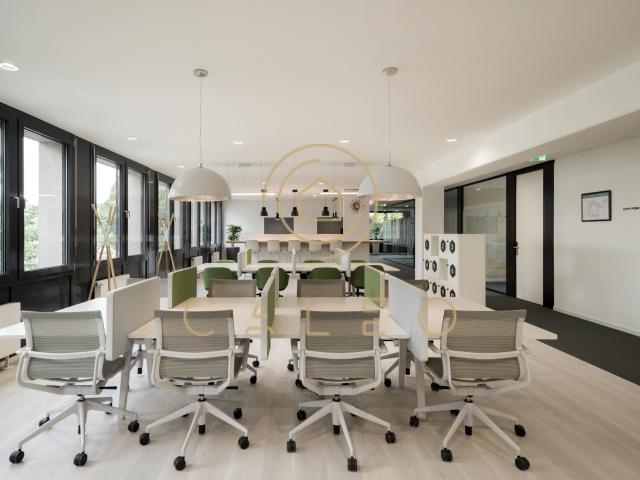 Wohnung mieten in Bonn, Nordrhein-Westfalen