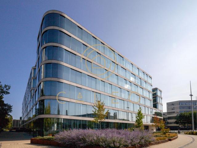 Wohnung mieten in Bonn, Nordrhein-Westfalen