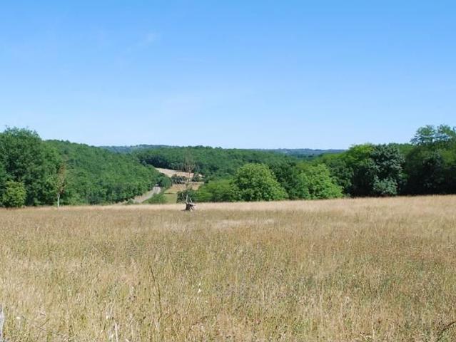 Terrain vente à France métropolitaine, Calès