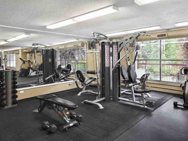 Apartment for rent in Northwest, Alberta