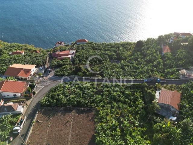Terreno venda em Ilha Da Madeira