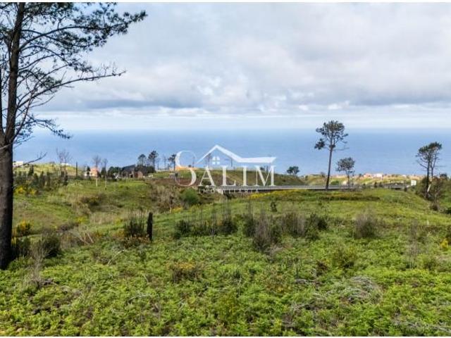 Terreno venda em Ilha Da Madeira