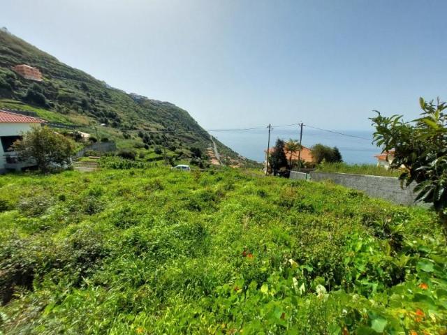 Terreno venda em Ilha Da Madeira