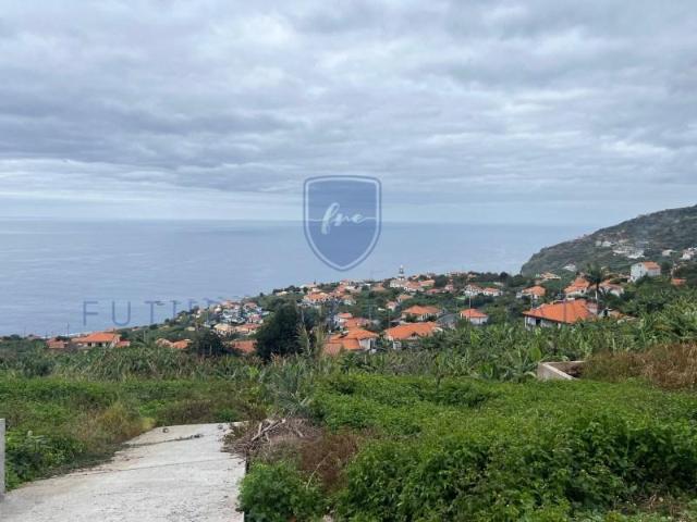 Terreno venda em Ilha Da Madeira