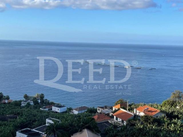 Terreno venda em Ilha Da Madeira